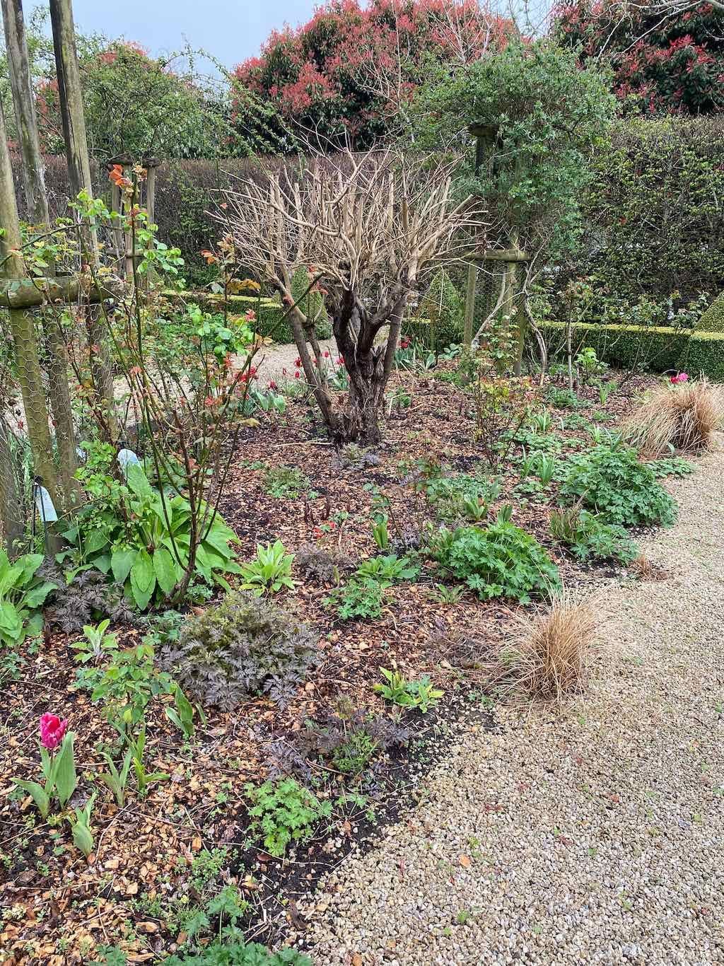 Red Cow Farm Garden Image -632f7ebe2bb09